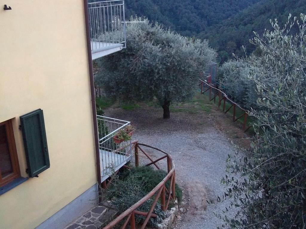 Caddelovi Apartment Fibbialla Ruang foto