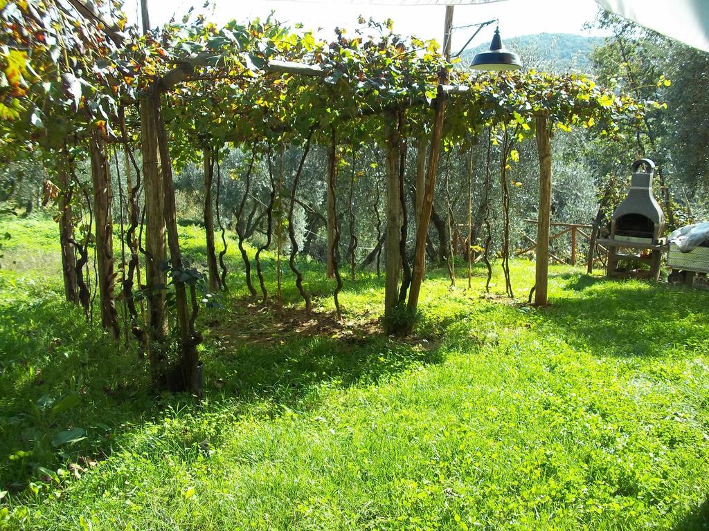 Caddelovi Apartment Fibbialla Ruang foto